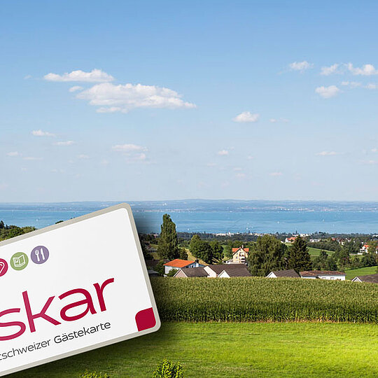 Erlebnis Auszeit "Oskar"