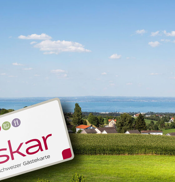 Experience time out "Oskar"